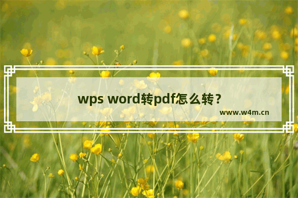 wps word转pdf怎么转？