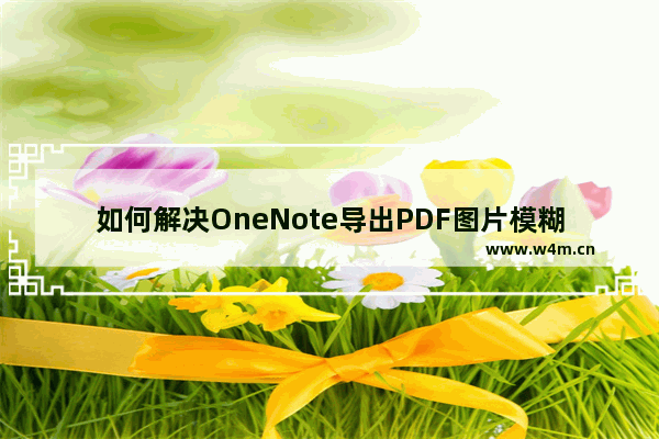 如何解决OneNote导出PDF图片模糊的问题