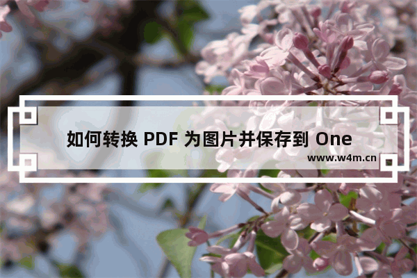 如何转换 PDF 为图片并保存到 OneNote 中