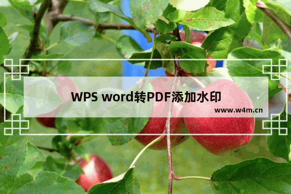 WPS word转PDF添加水印