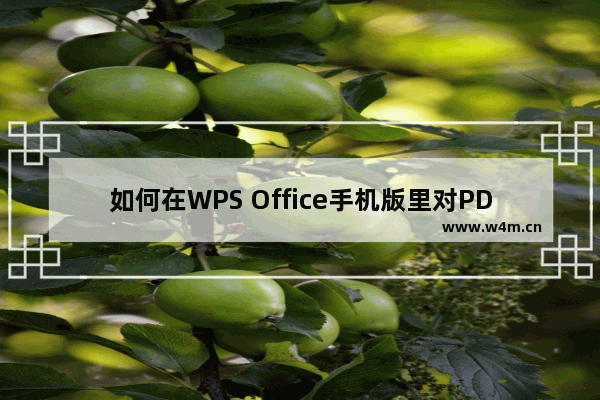 如何在WPS Office手机版里对PDF进行标注