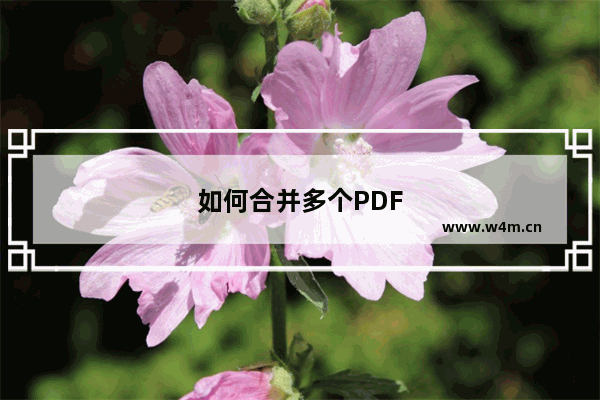 如何合并多个PDF