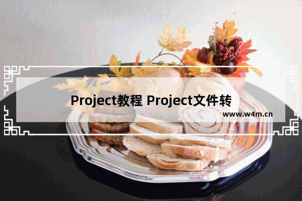 Project教程 Project文件转换为PDF后和打印预览不一样怎么办