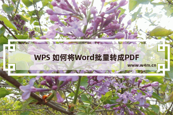 WPS 如何将Word批量转成PDF