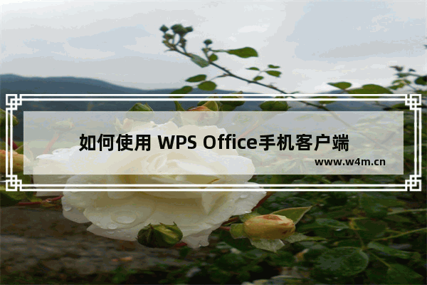 如何使用 WPS Office手机客户端里的 PDF 转 PPT 功能