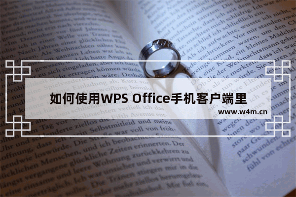 如何使用WPS Office手机客户端里的PDF转Excel功能