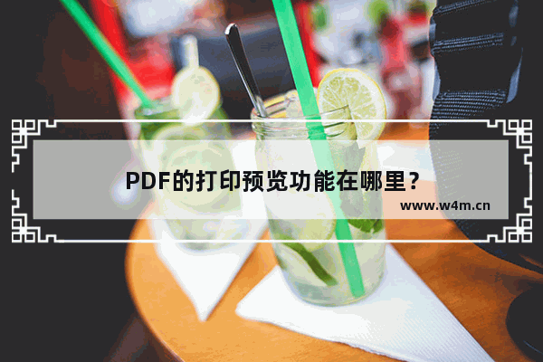 PDF的打印预览功能在哪里？