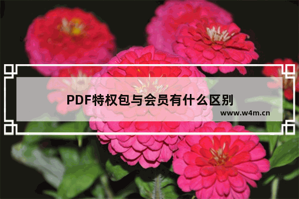 PDF特权包与会员有什么区别