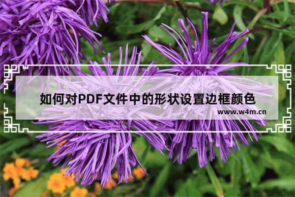 如何对PDF文件中的形状设置边框颜色