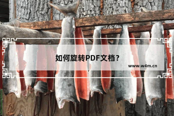 如何旋转PDF文档？