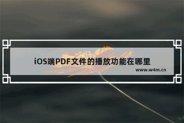 iOS端PDF文件的播放功能在哪里