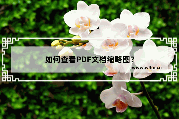 如何查看PDF文档缩略图？