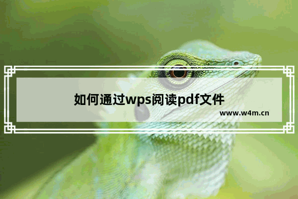 如何通过wps阅读pdf文件