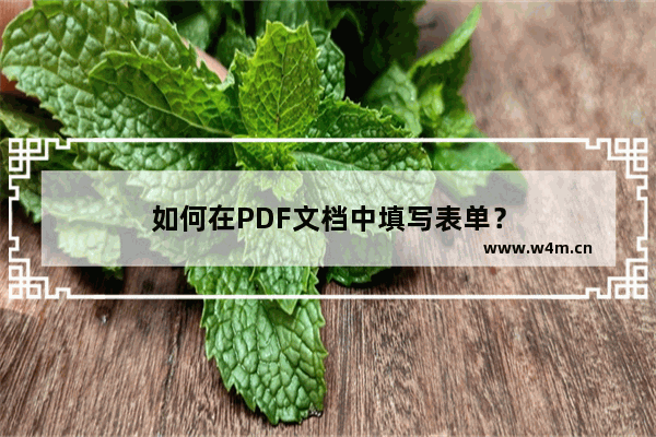 如何在PDF文档中填写表单？