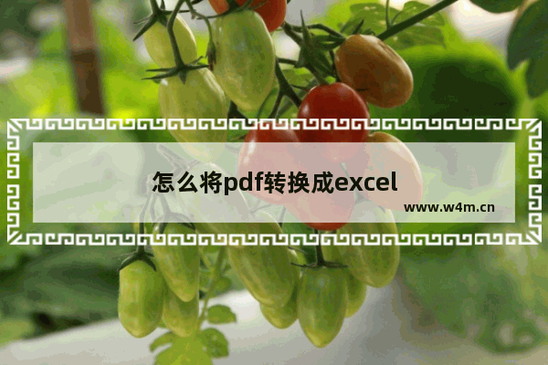 怎么将pdf转换成excel