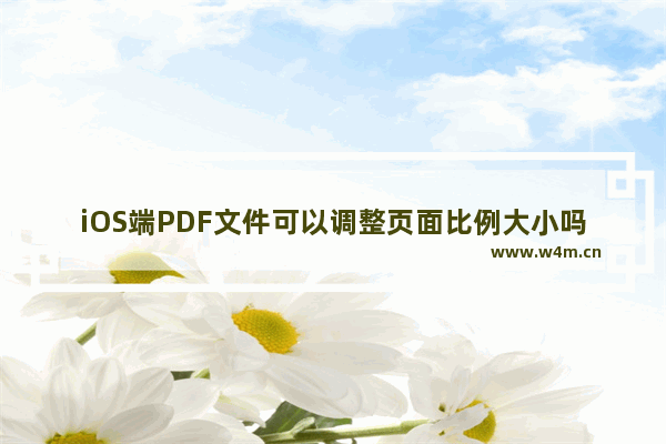 iOS端PDF文件可以调整页面比例大小吗