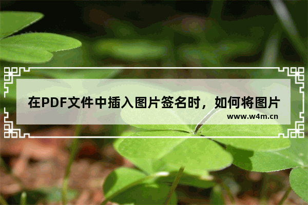 在PDF文件中插入图片签名时，如何将图片修改为黑白？