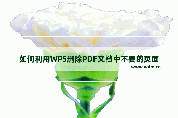 如何利用WPS删除PDF文档中不要的页面