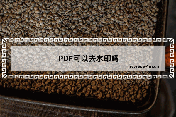 PDF可以去水印吗