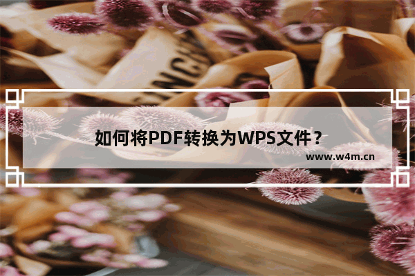 如何将PDF转换为WPS文件？