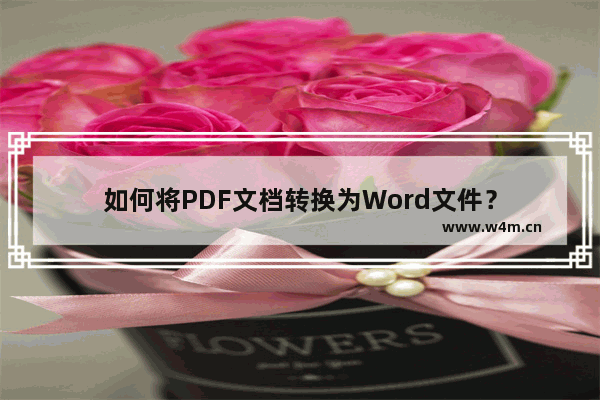 如何将PDF文档转换为Word文件？