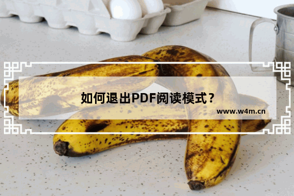 如何退出PDF阅读模式？