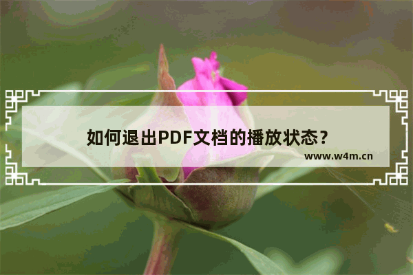 如何退出PDF文档的播放状态？