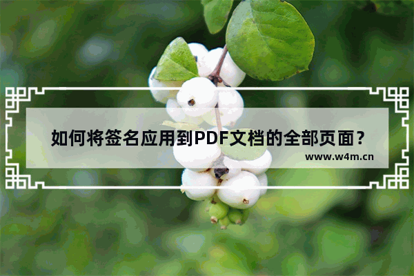 如何将签名应用到PDF文档的全部页面？