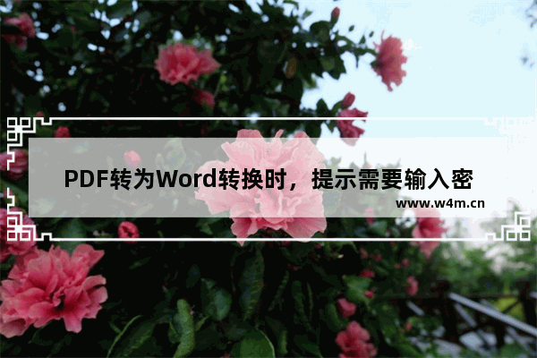 PDF转为Word转换时，提示需要输入密码（访问密码或者编辑密码）