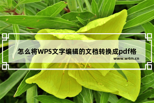 怎么将WPS文字编辑的文档转换成pdf格式?WPS文字文档转换成pdf格式方法