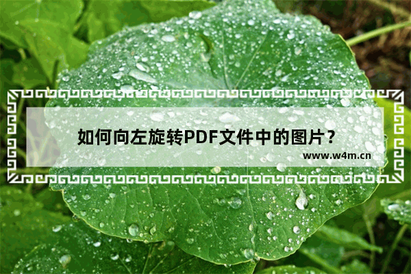 如何向左旋转PDF文件中的图片？