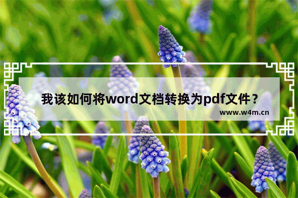 我该如何将word文档转换为pdf文件？