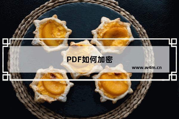 PDF如何加密