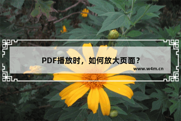 PDF播放时，如何放大页面？