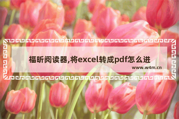 福昕阅读器,将excel转成pdf怎么进行页面设置