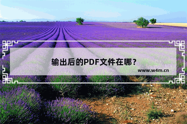 输出后的PDF文件在哪？