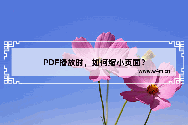 PDF播放时，如何缩小页面？