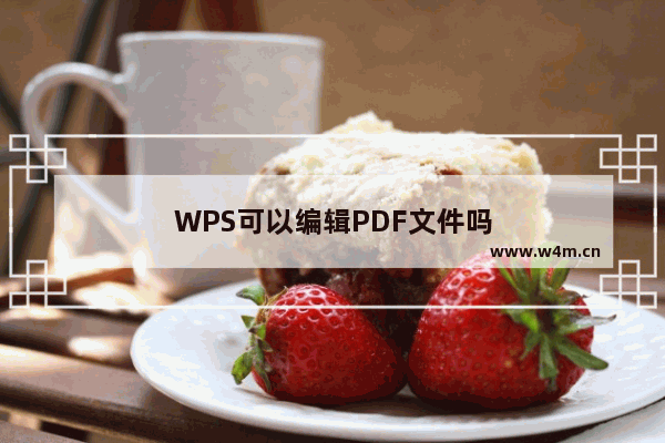 WPS可以编辑PDF文件吗