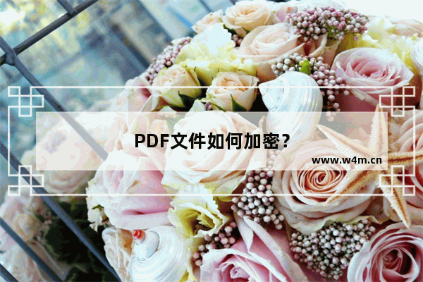 PDF文件如何加密？