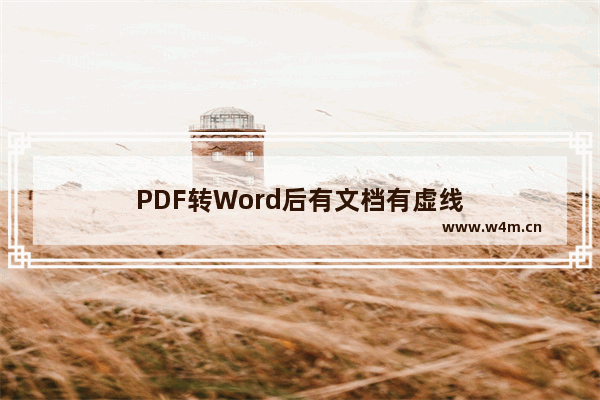 PDF转Word后有文档有虚线