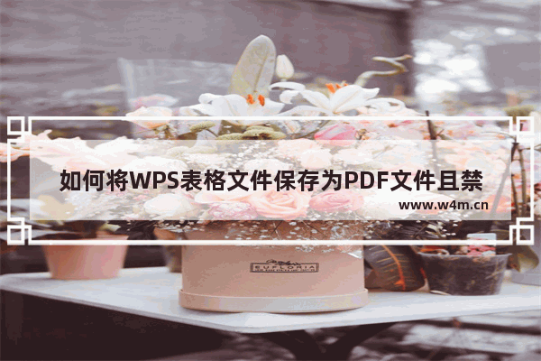 如何将WPS表格文件保存为PDF文件且禁止打印和修改