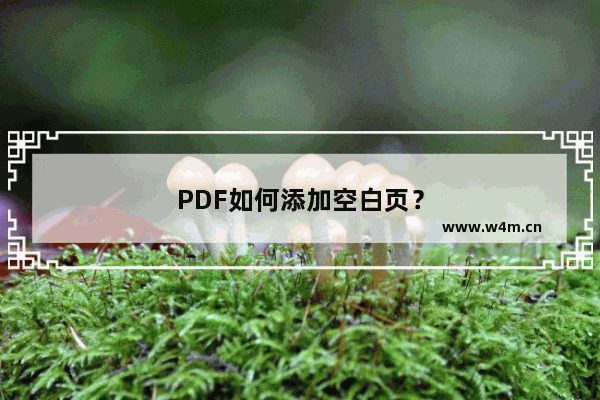 PDF如何添加空白页？