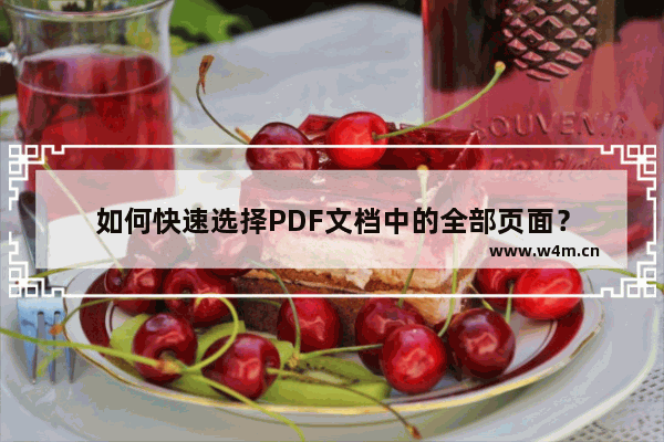 如何快速选择PDF文档中的全部页面？