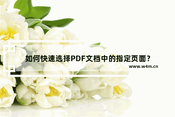 如何快速选择PDF文档中的指定页面？