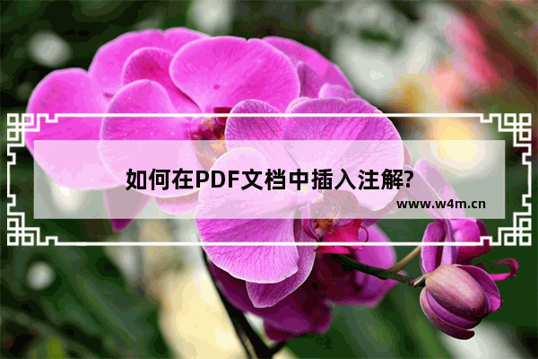 如何在PDF文档中插入注解?