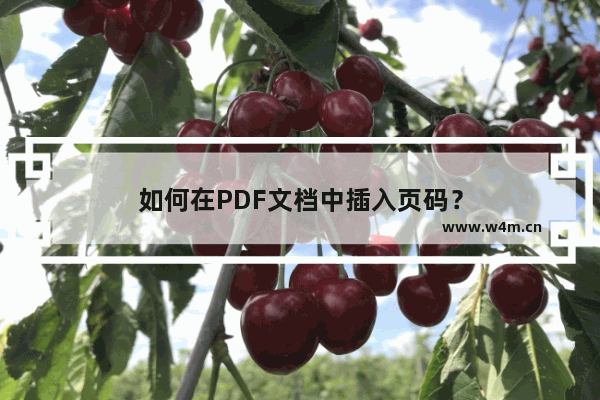 如何在PDF文档中插入页码？