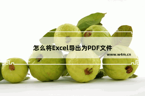 怎么将Excel导出为PDF文件