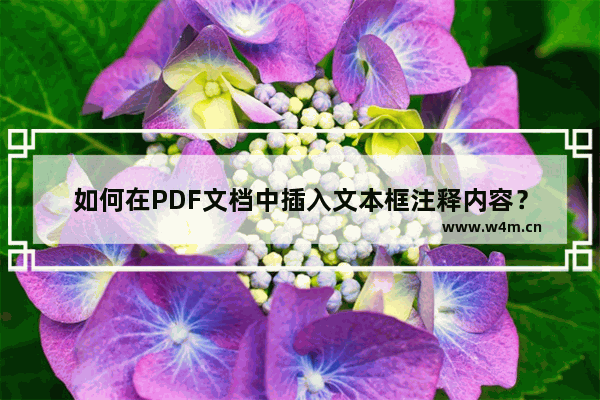 如何在PDF文档中插入文本框注释内容？