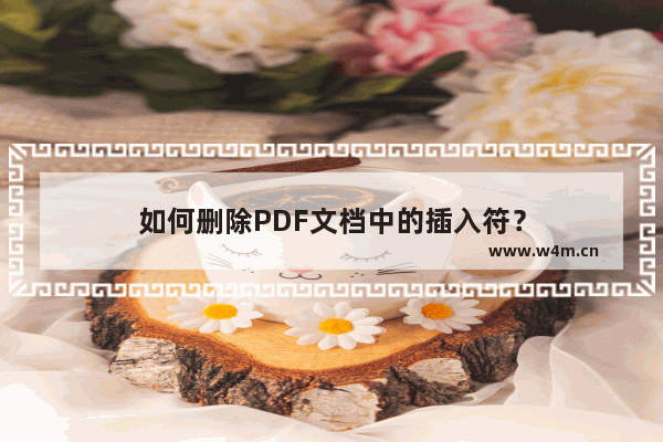 如何删除PDF文档中的插入符？