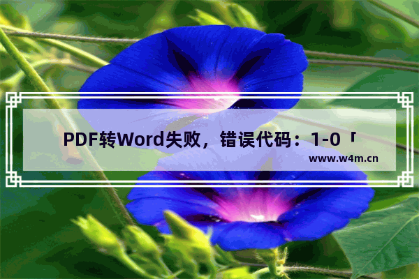 PDF转Word失败，错误代码：1-0「鼠标定位到红色感叹号上」。